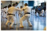 50e anniversaire de France Shotokan à Saint-Lo, en juillet 2014.