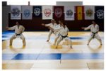 50e anniversaire de France Shotokan à Saint-Lo, en juillet 2014.