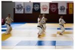 50e anniversaire de France Shotokan à Saint-Lo, en juillet 2014.
