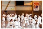 50e anniversaire de France Shotokan à Saint-Lo, en juillet 2014.