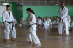 stage_cherbourg_2012_2